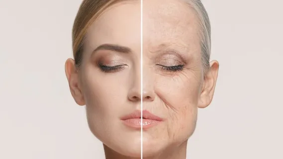 شيخوخة البشرة