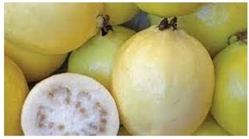 طريقة تخزين الجوافة في الفريزر