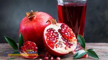  الدورة الدموية