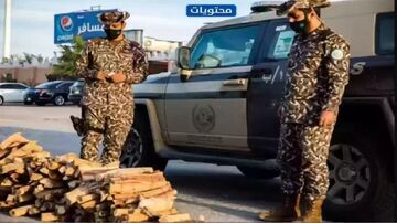 الأمن البيئي 